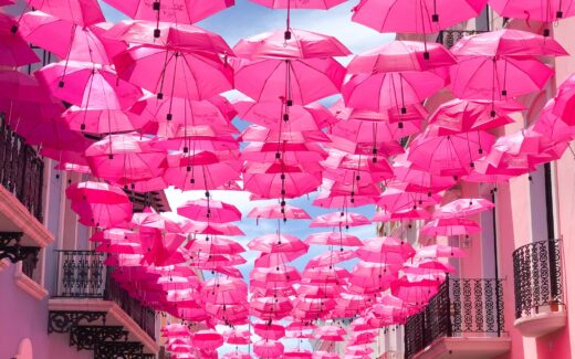 hanged pink umbrellas